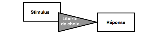 Processus émotionnel